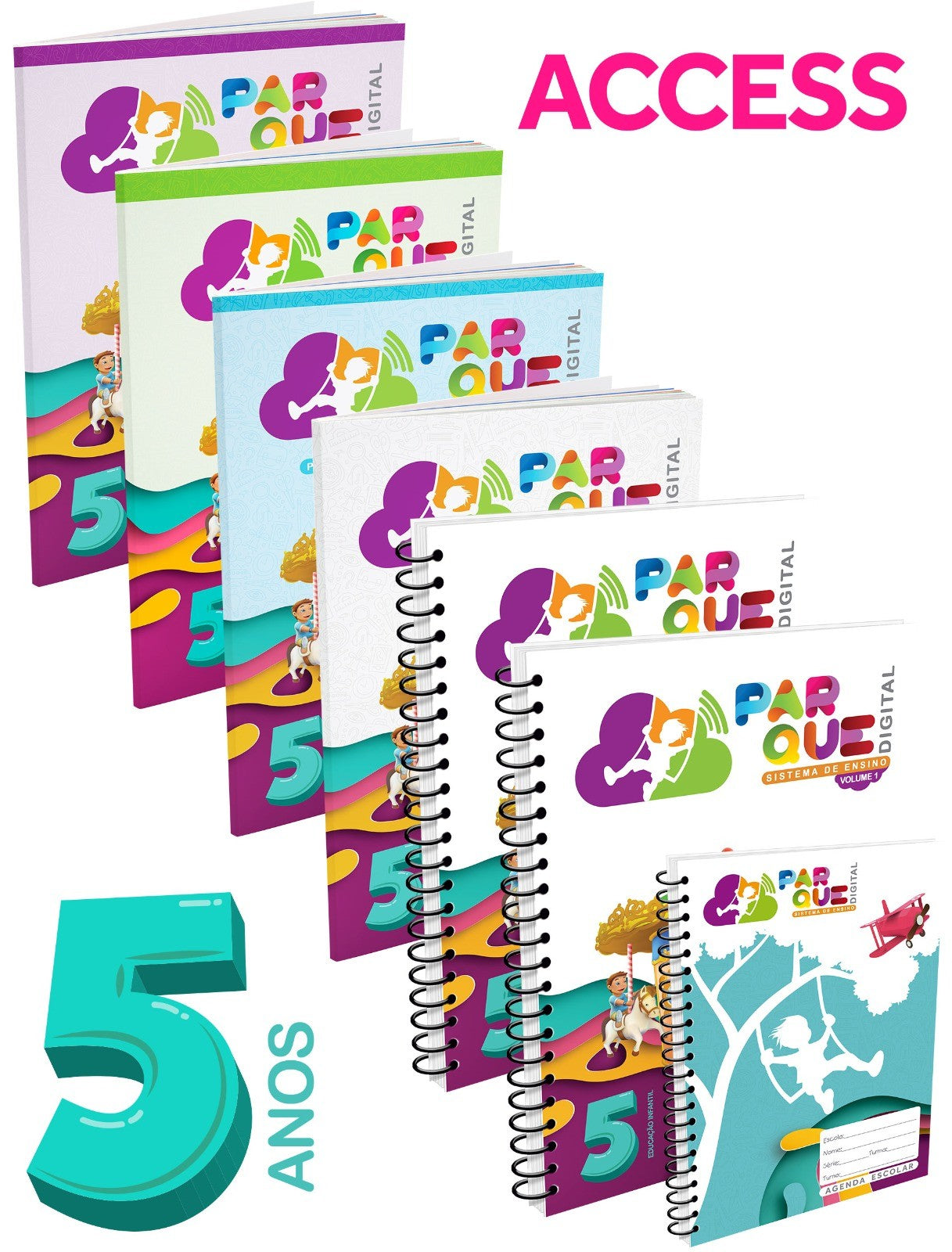 Sistema Parque Digital Access 5 anos